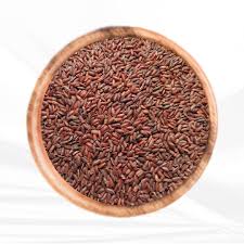 SB 107 காட்டு யானம்