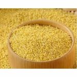 SB 206-LITTLE MILLET SAMAI