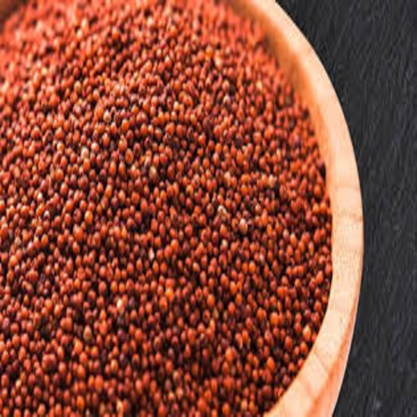 SM 204 FINGER MILLET - KEZHVARAGU